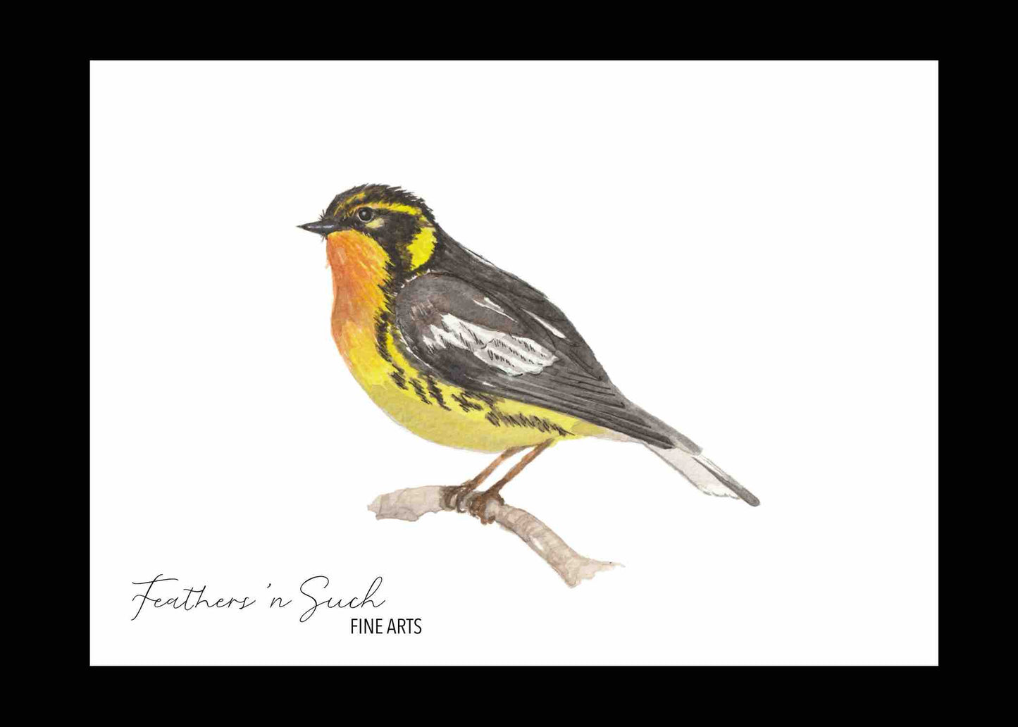 Blackburnian Warbler