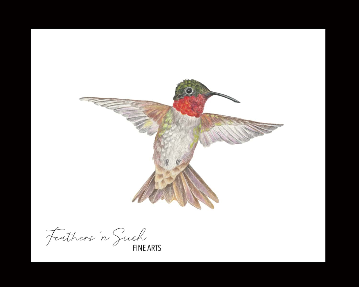 Ruby-Throated Hummingbird