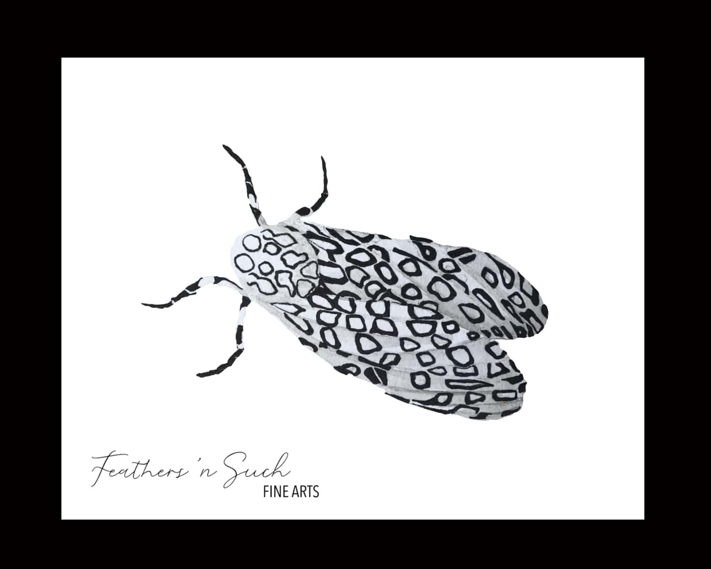 Leopard Moth