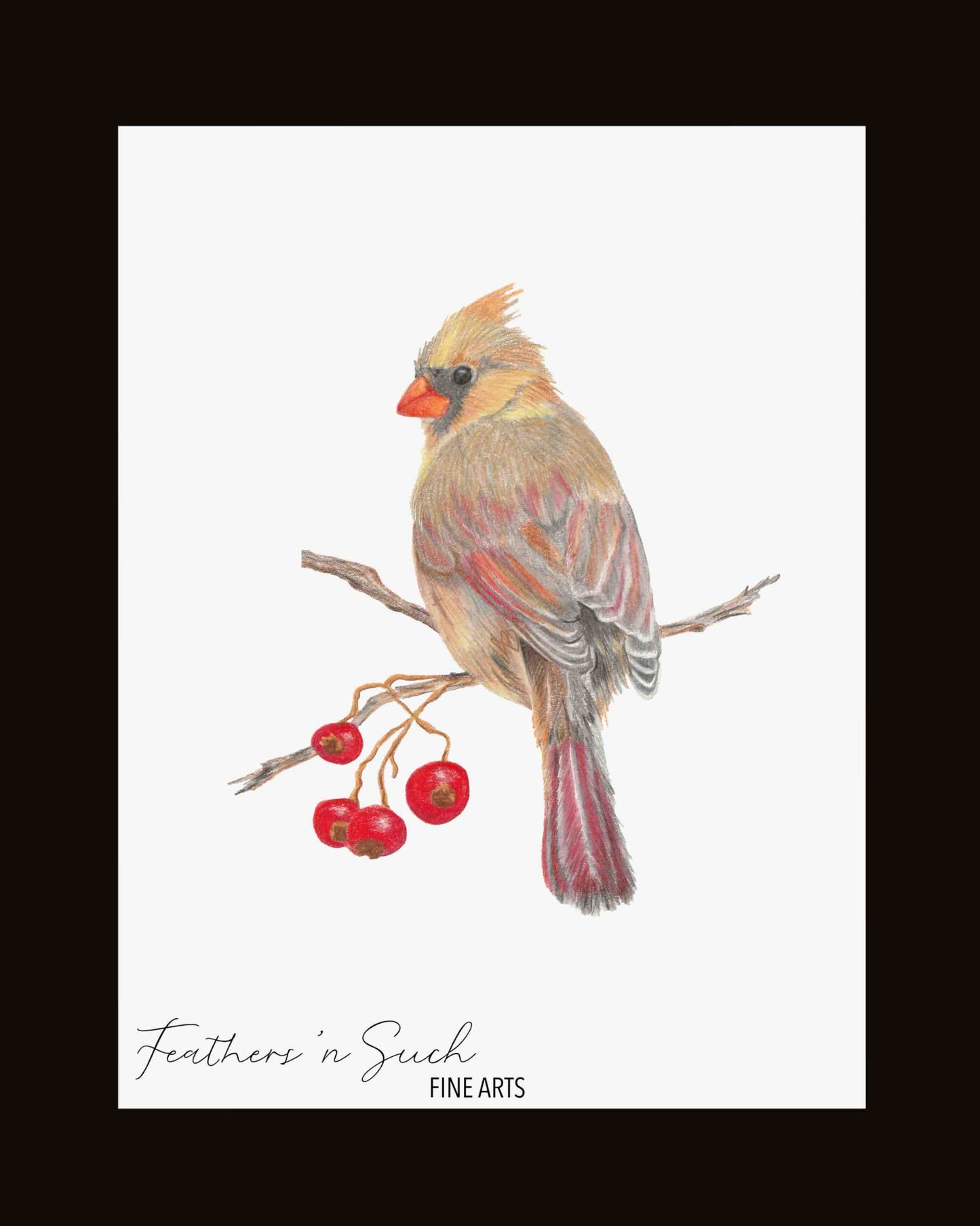 Female Cardinal