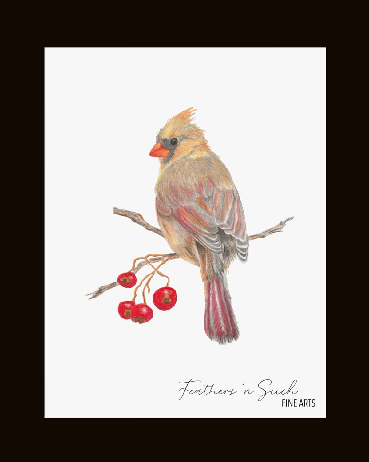 Female Cardinal