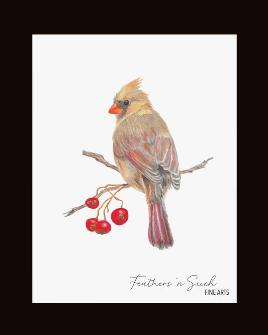 Female Cardinal