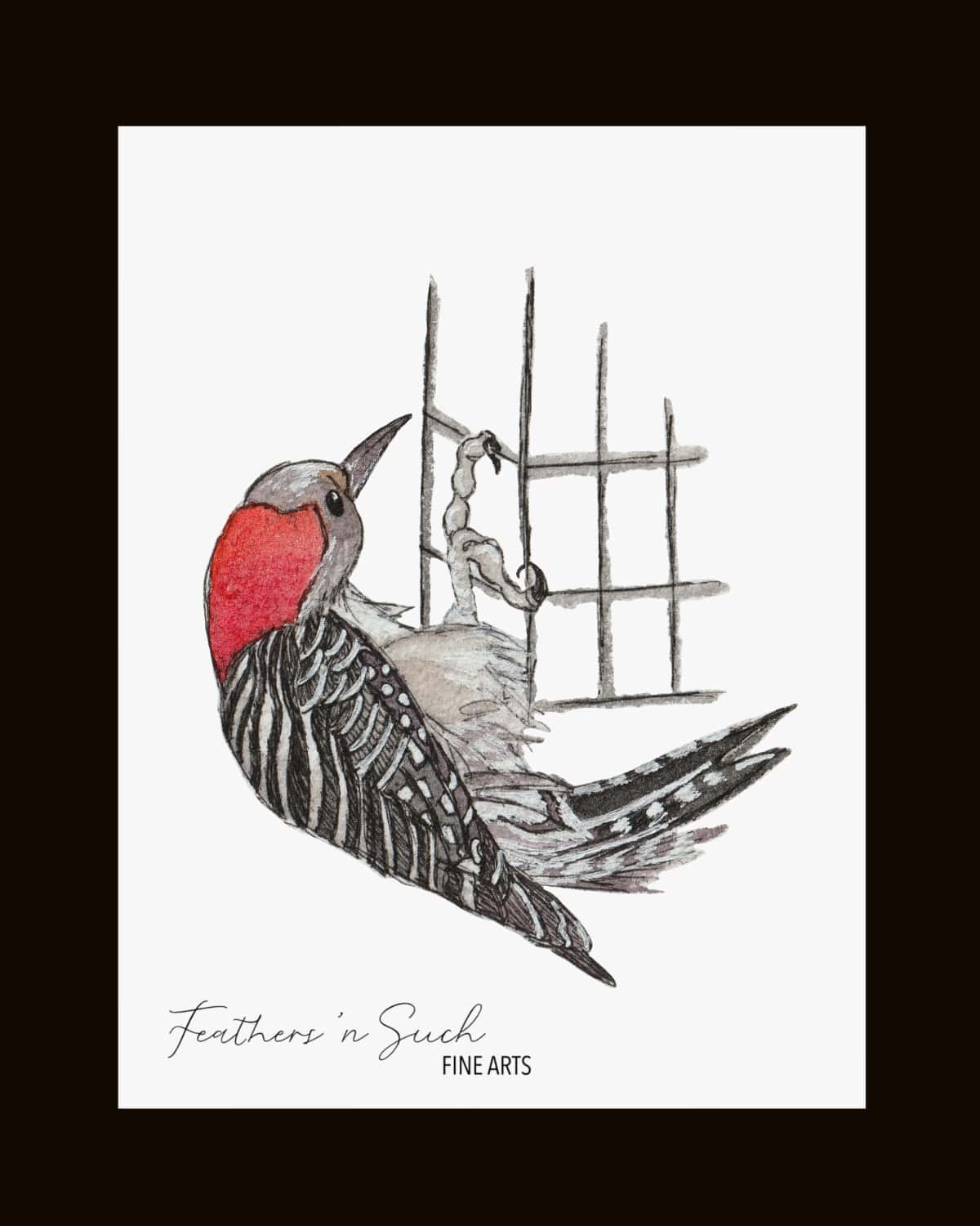 Red-Bellied Woodpecker Female
