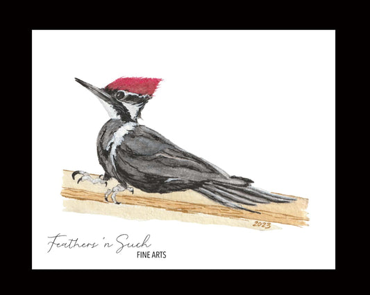 Pileated Woodpecker