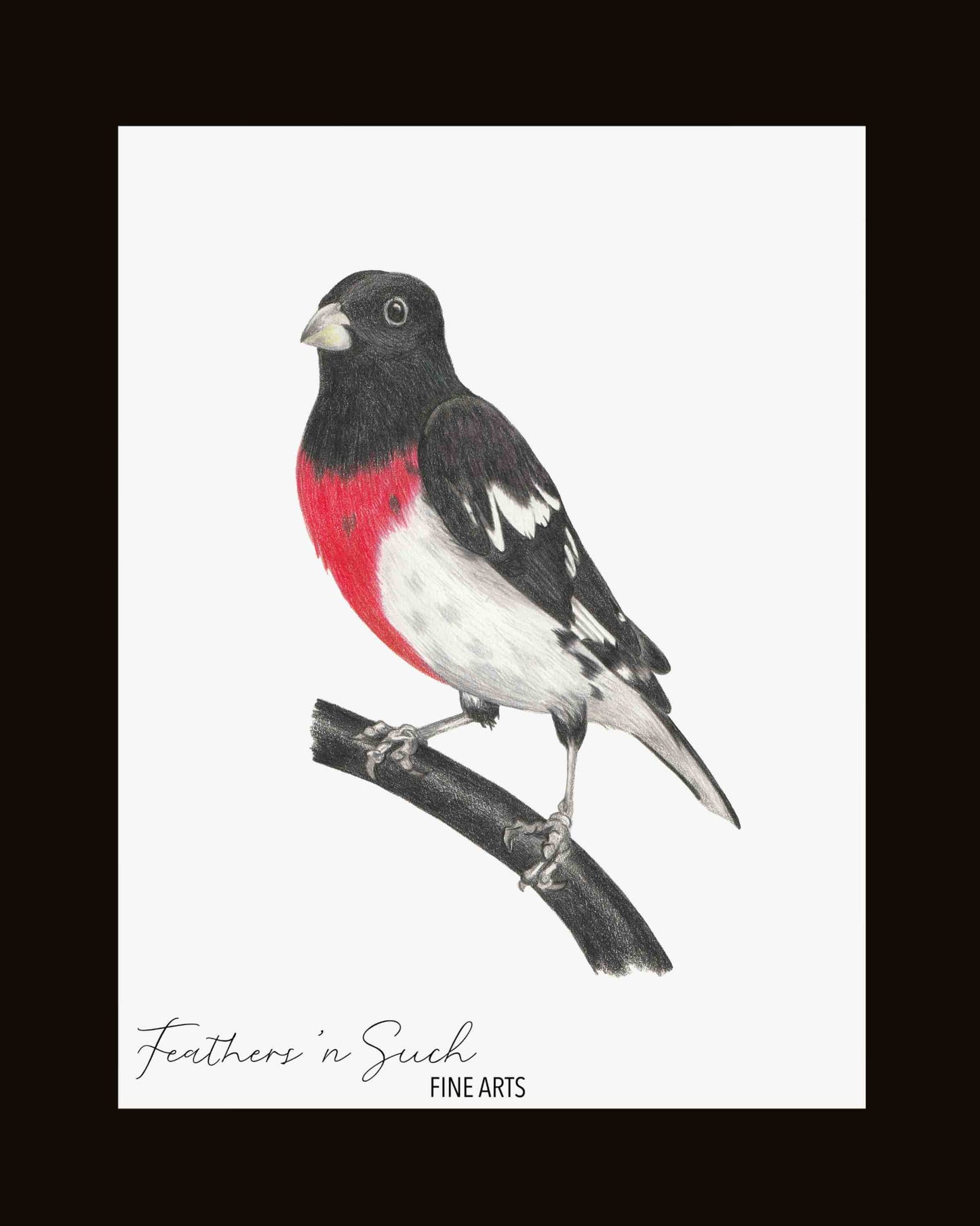 Rose-Breasted Grosbeak