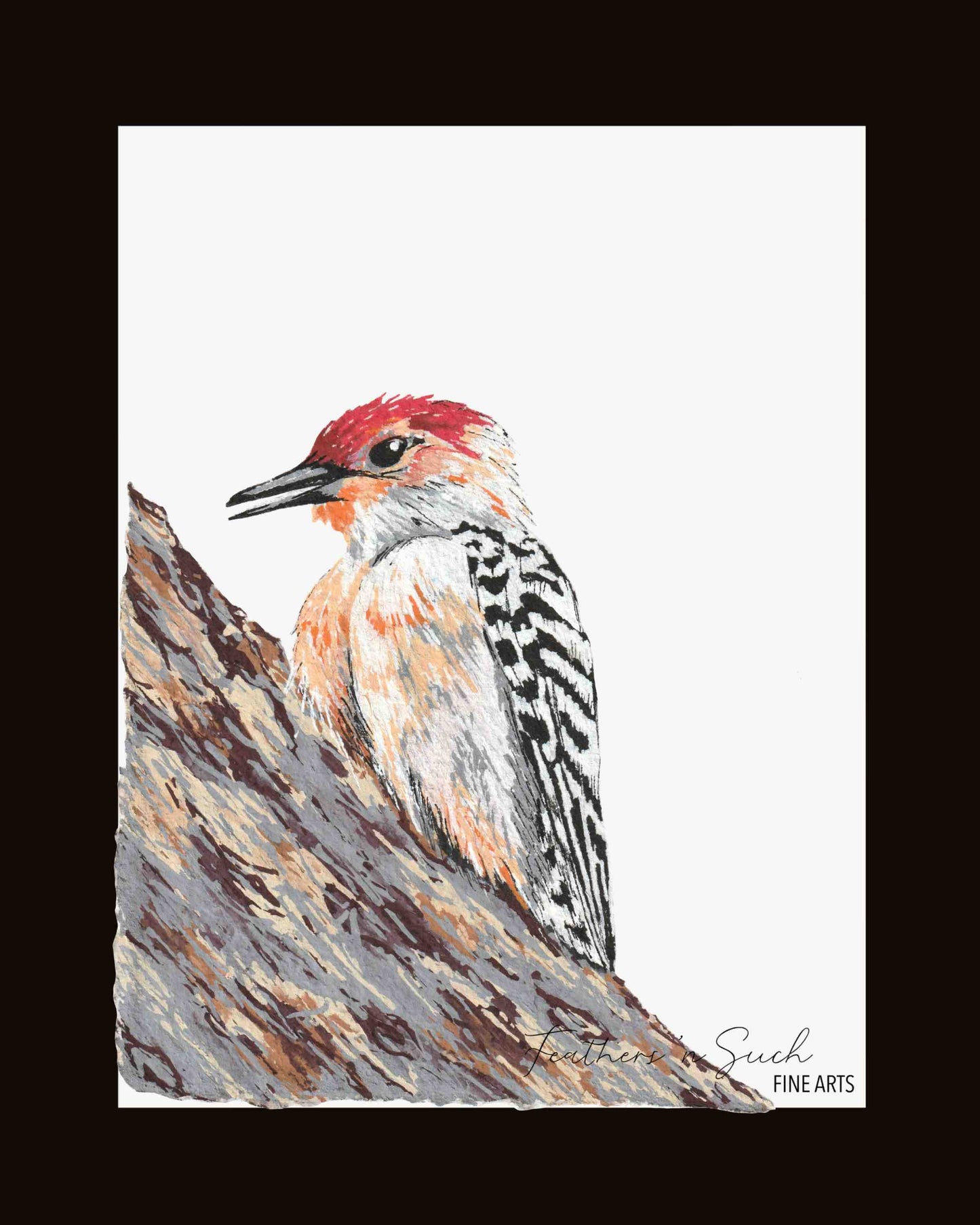Red-Bellied Woodpecker