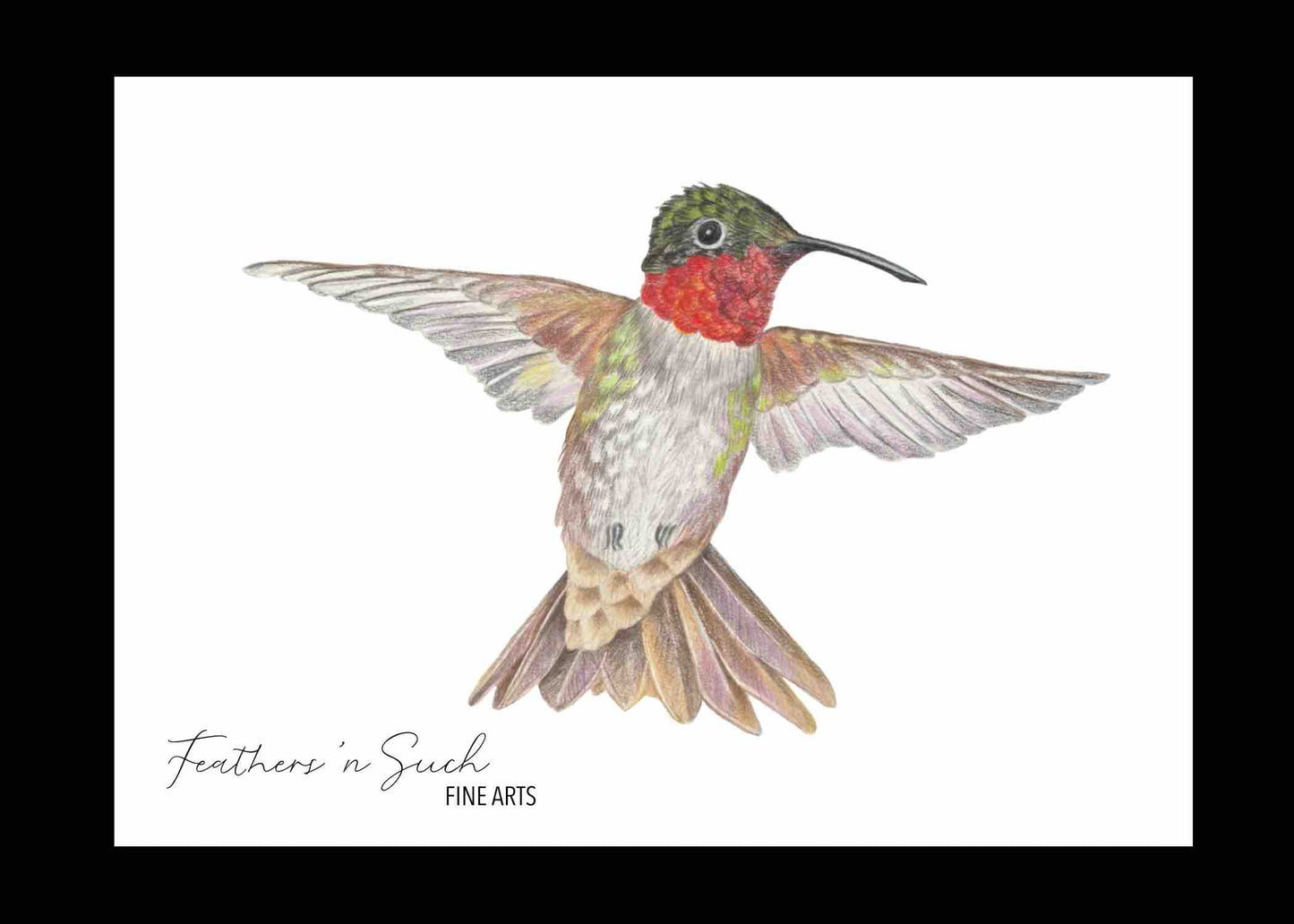 Ruby-Throated Hummingbird