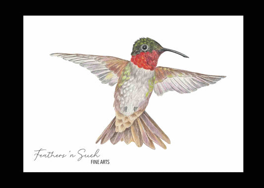 Ruby-Throated Hummingbird