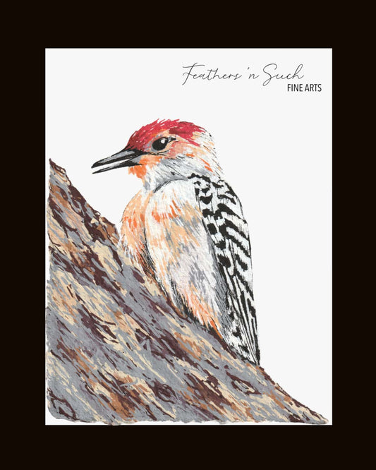 Red-Bellied Woodpecker